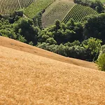 Relais Cocci Grifoni - Panoramic Wine *