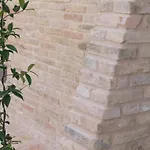 Relais Cocci Grifoni - Panoramic Wine *
