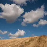 Relais Cocci Grifoni - Panoramic Wine Διαμέρισμα