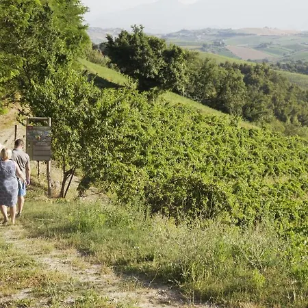 Relais Cocci Grifoni - Panoramic Wine Apartmán