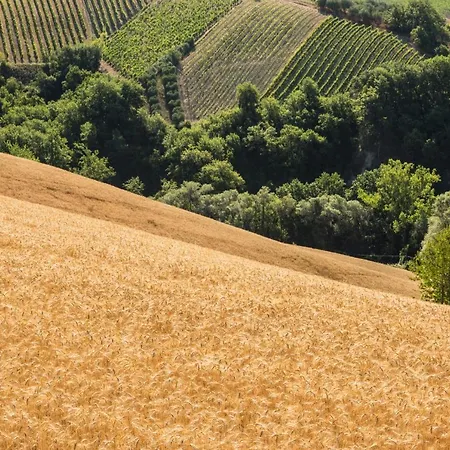 Relais Cocci Grifoni - Panoramic Wine Resort *