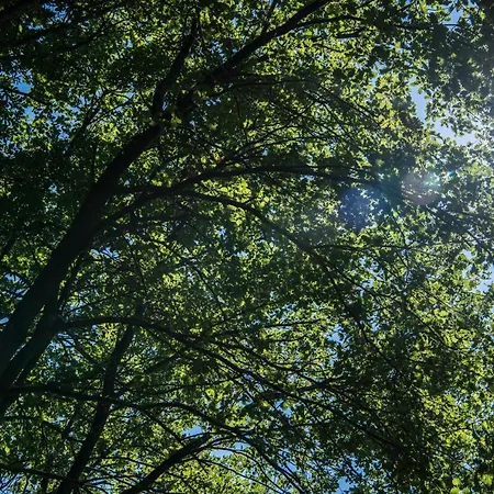 Relais Cocci Grifoni - Panoramic Wine