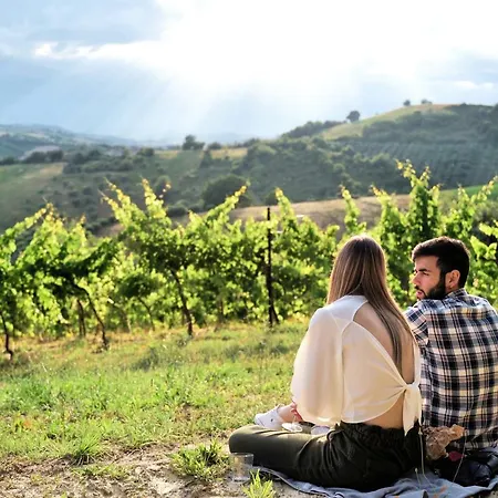 Appartamento Relais Cocci Grifoni - Panoramic Wine Offida