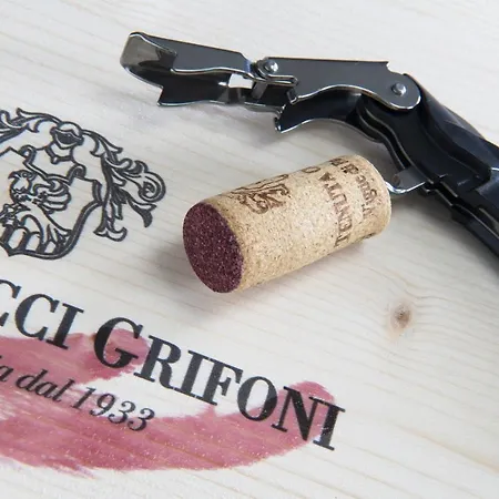 Relais Cocci Grifoni - Panoramic Wine דירה *