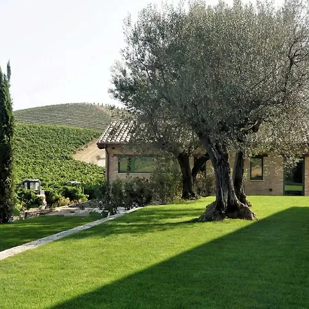 Relais Cocci Grifoni - Panoramic Wine דירה אופידה