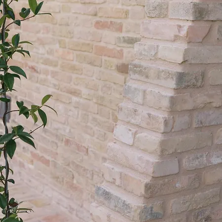 Relais Cocci Grifoni - Panoramic Wine Resort *