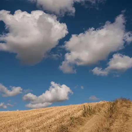 Relais Cocci Grifoni - Panoramic Wine Apartmán