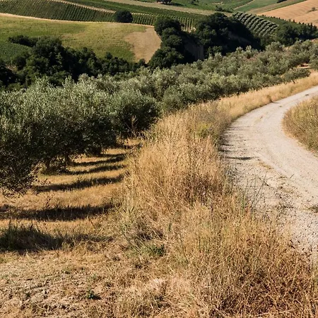 Relais Cocci Grifoni - Panoramic Wine Apartmán Offida