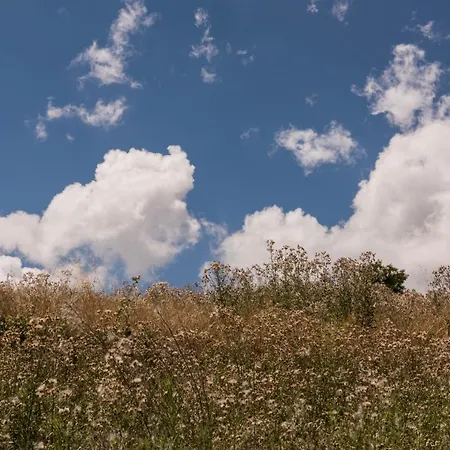 Apartmán Relais Cocci Grifoni - Panoramic Wine Offida