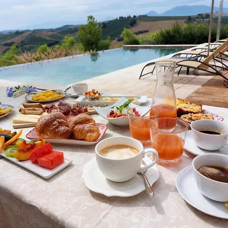 Relais Cocci Grifoni - Panoramic Wine