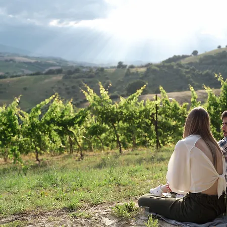 Relais Cocci Grifoni - Panoramic Wine شقة أوفيدا