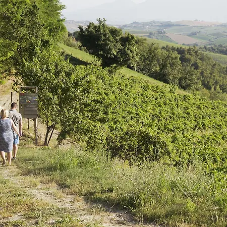 شقة Relais Cocci Grifoni - Panoramic Wine أوفيدا